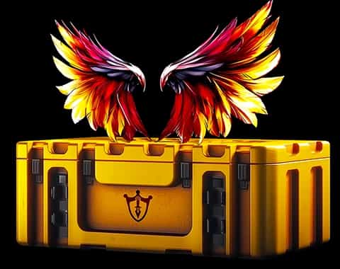 Crimson Wings case