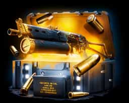 czena-nizhe-patrona case