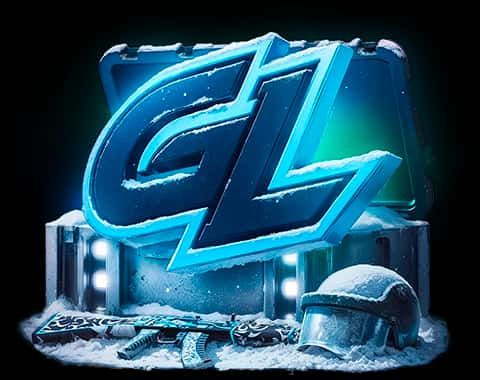 GamerLegion case