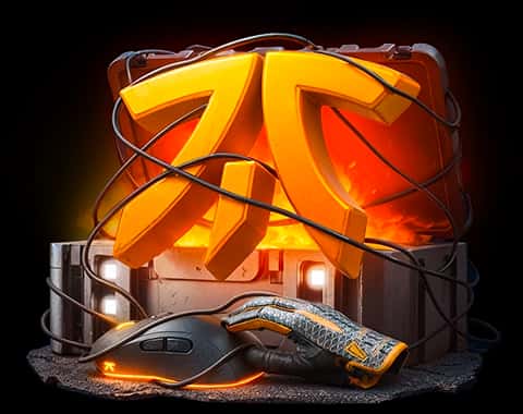 fnatic case