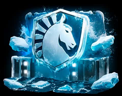 Liquid case