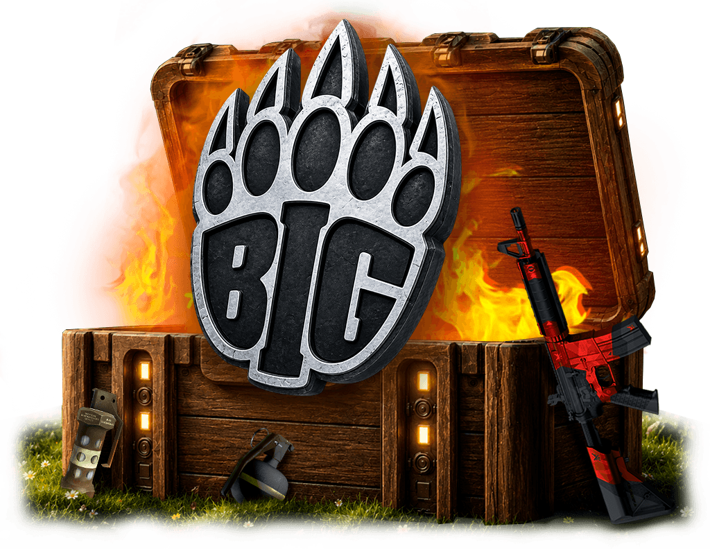 BIG case