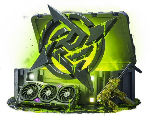 Ninjas in Pyjamas case