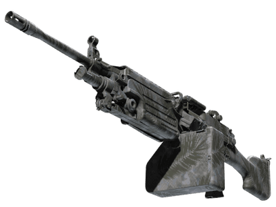 M249 - Полуночная пальма - 144x108