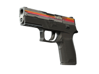 P250 - Кассета - 160x114
