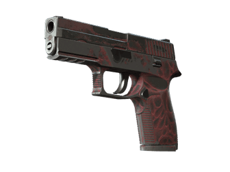 P250 - Загрязнитель - 160x114