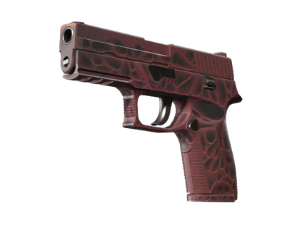 P250 - Загрязнитель - 144x108