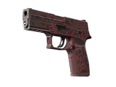 P250 - Загрязнитель - 160x114