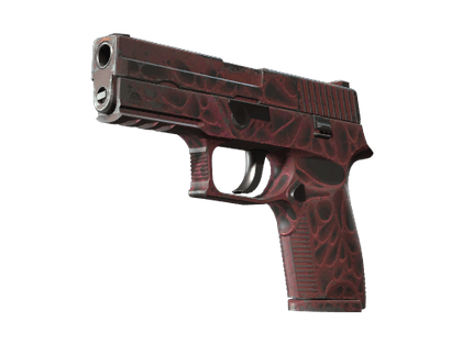 P250 - Загрязнитель - 144x108