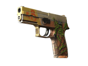 P250 - Инферно - 160x114