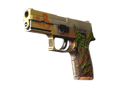 P250 - Инферно - 144x108