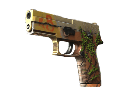P250 - Инферно - 144x108