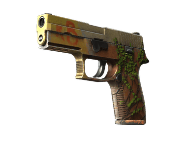 P250 - Инферно - 160x114