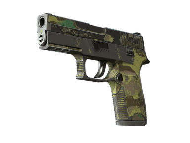 P250 - Северный лес - 160x114