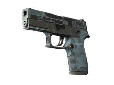 P250 - Лесная ночь - 160x114