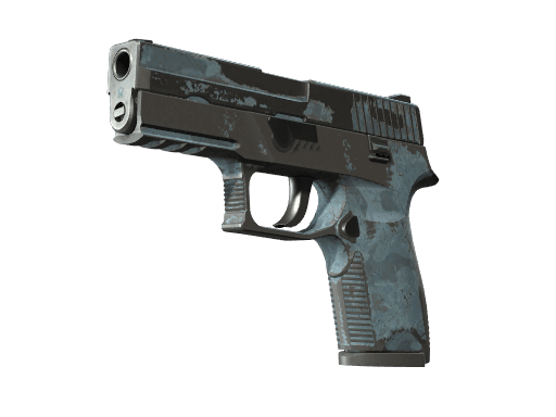 P250 - Лесная ночь - 144x108