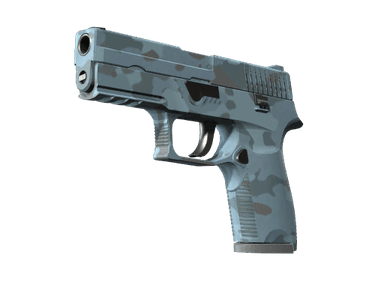 P250 - Лесная ночь - 160x114