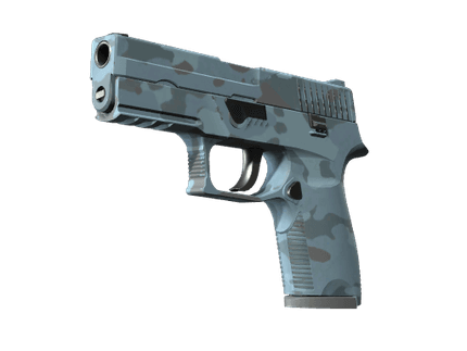 P250 - Лесная ночь - 144x108