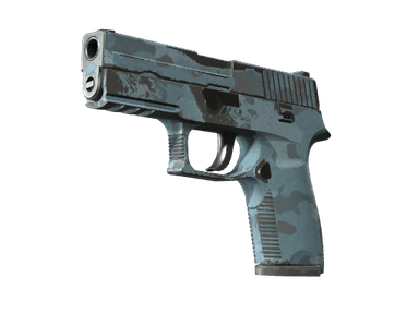 P250 - Лесная ночь - 160x114