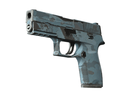 P250 - Лесная ночь - 144x108