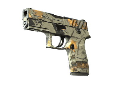 P250 - Современный охотник - 160x114