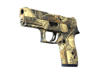 P250 - Заражение - 160x114