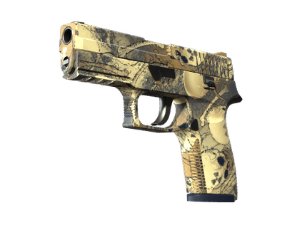 P250 - Заражение - 144x108