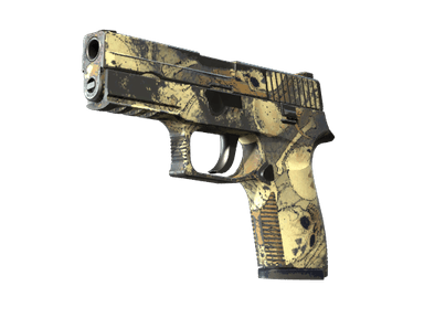 P250 - Заражение - 160x114