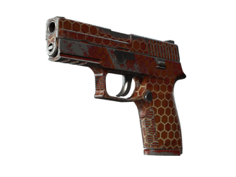 P250 - Улей - 160x114