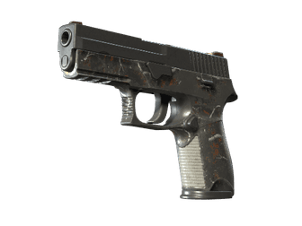 P250 - Мелкая дичь - 160x114