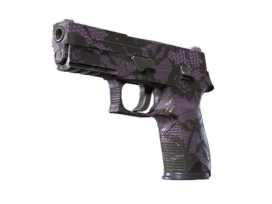 P250 - Сливовая сеть - 160x114