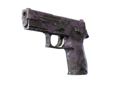 P250 - Сливовая сеть - 160x114