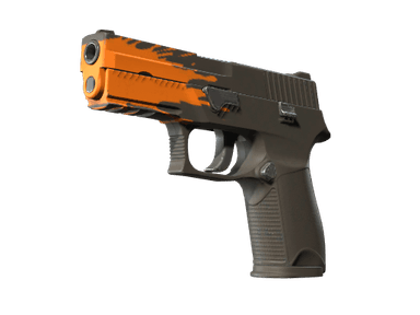 P250 - Пятно - 160x114