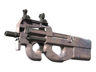 P90 - Помой меня - 160x114