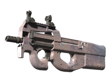P90 - Помой меня - 160x114
