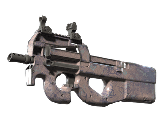 P90 - Помой меня - 160x114
