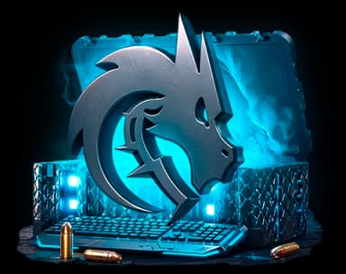 Spirit case