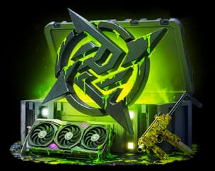 Ninjas in Pyjamas case