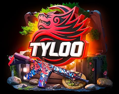 TYLOO case