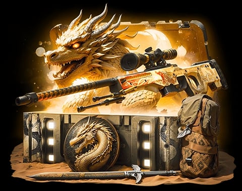 История о драконе case