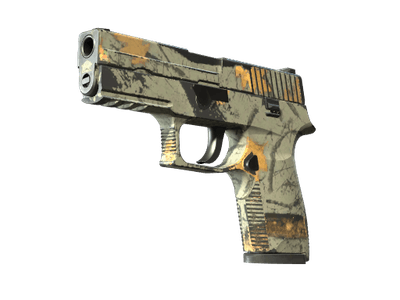 P250 - Современный охотник - 144x108