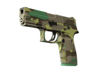 P250 - Северный лес - 160x114